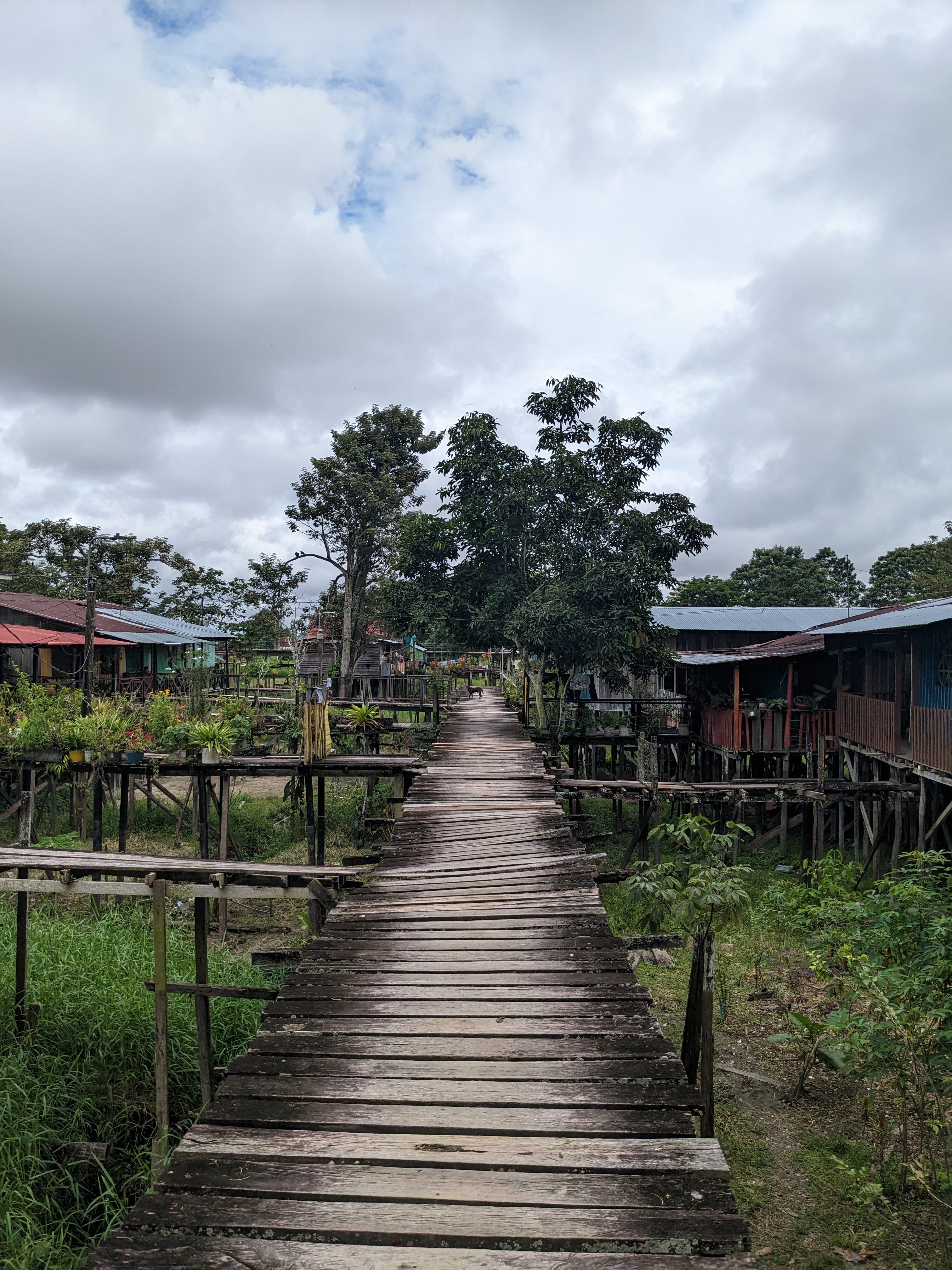 Houses in Leticia