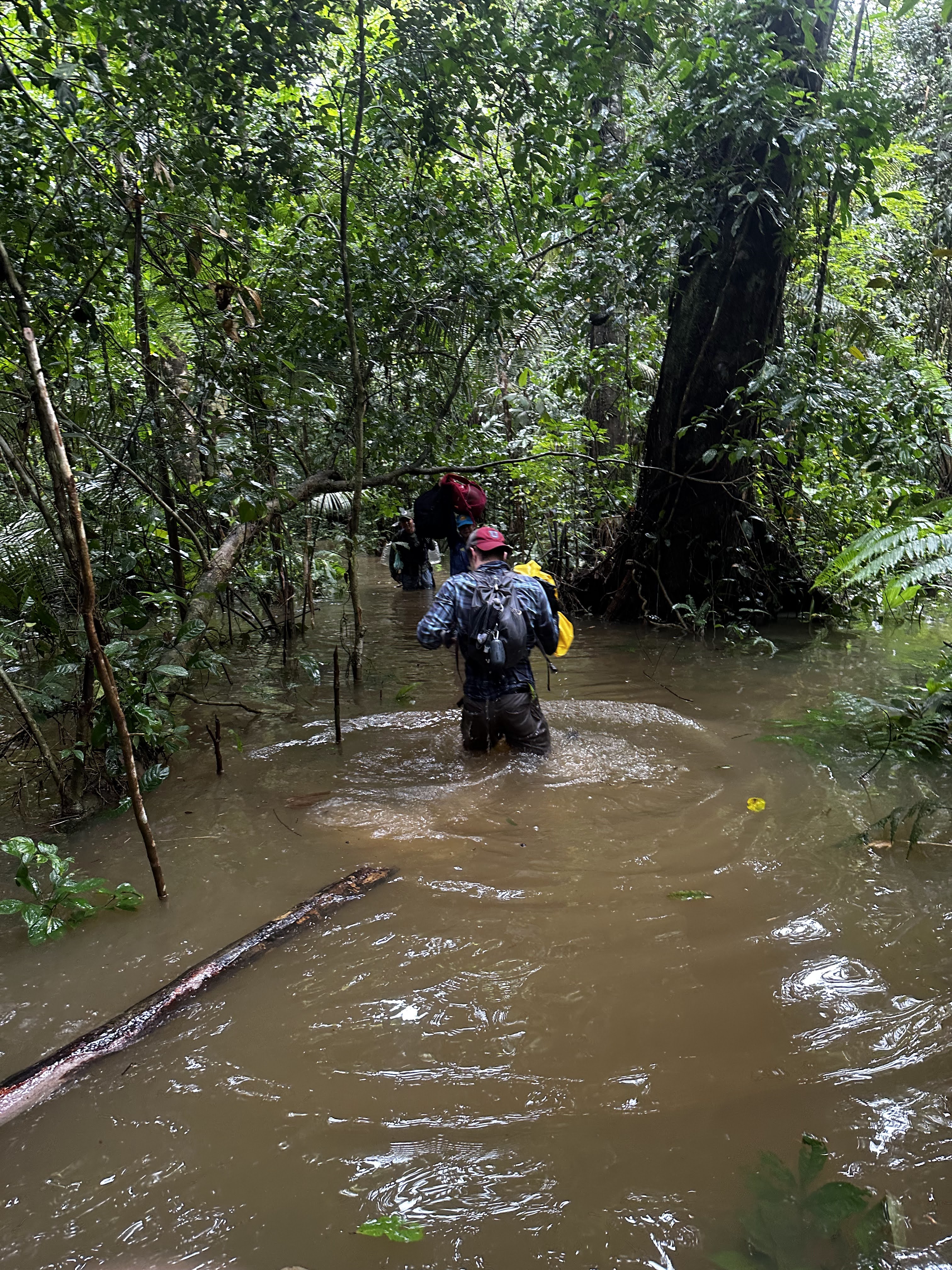 Me wading